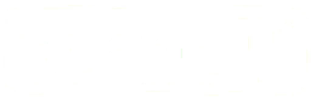 SCHNELL DEFINITION MEANING visual data 3